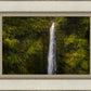 Akaka Falls, Hawaii