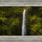 Akaka Falls, Hawaii