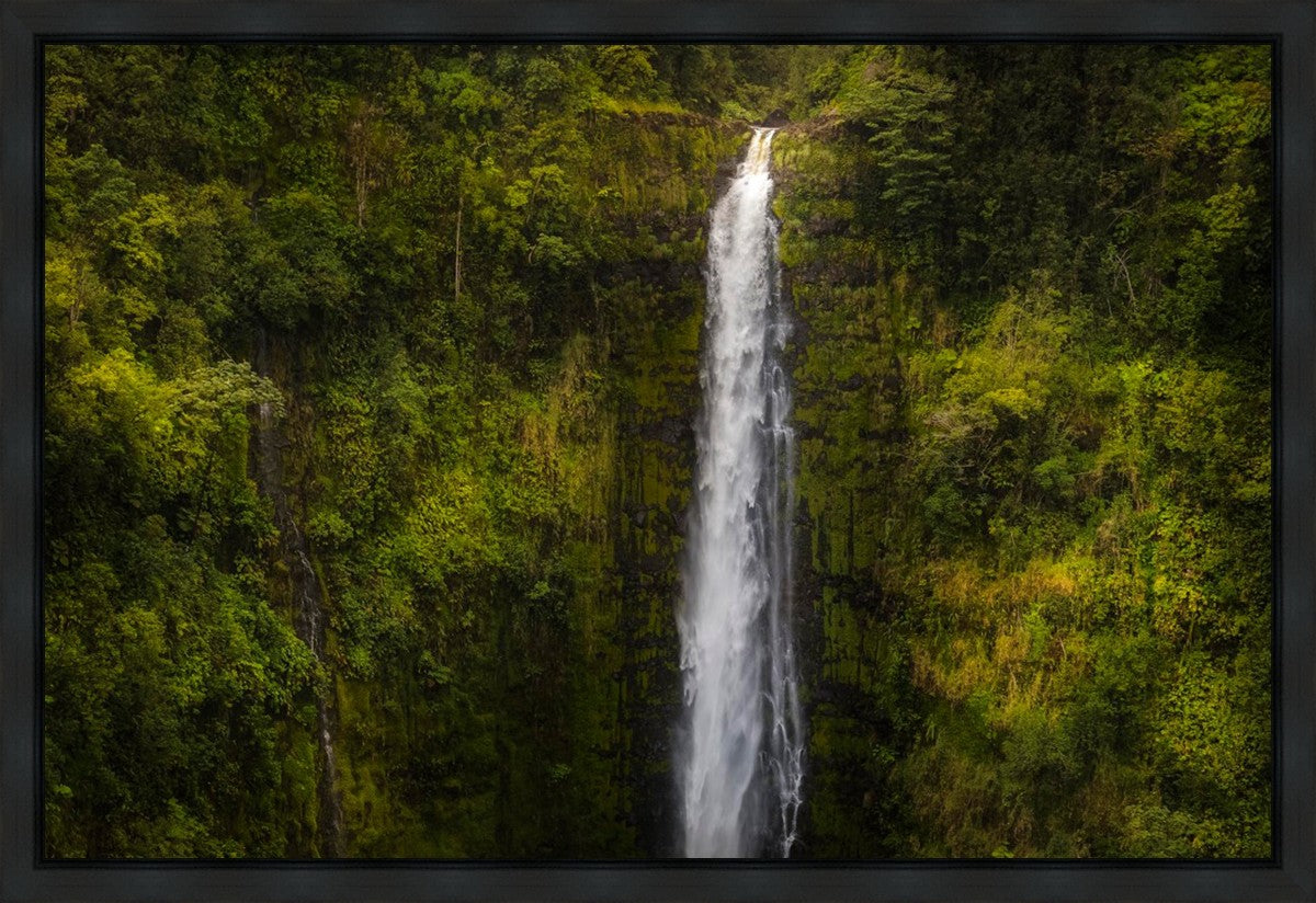 Akaka Falls, Hawaii Gallery Wrap