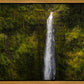 Akaka Falls, Hawaii