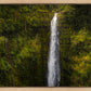 Akaka Falls, Hawaii