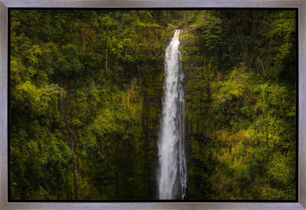 Akaka Falls, Hawaii Gallery Wrap