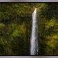 Akaka Falls, Hawaii
