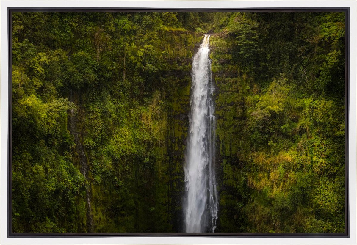 Akaka Falls, Hawaii Gallery Wrap