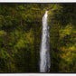 Akaka Falls, Hawaii