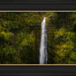 Akaka Falls, Hawaii