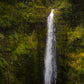 Akaka Falls, Hawaii