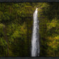 Akaka Falls, Hawaii