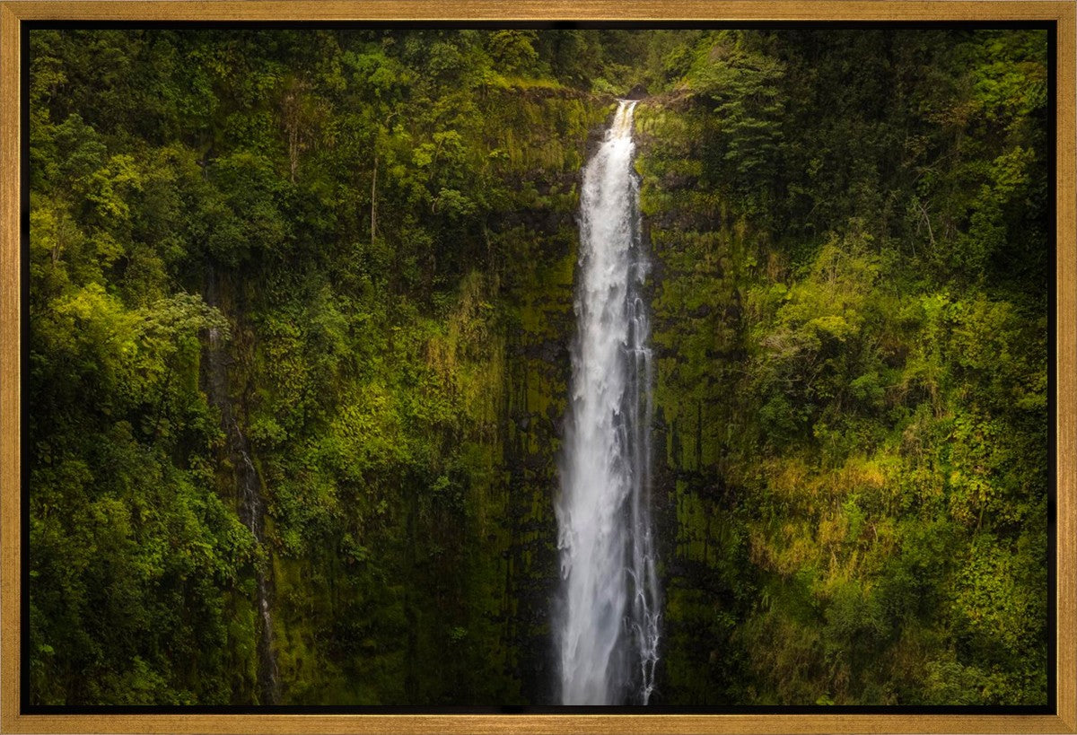 Akaka Falls, Hawaii Gallery Wrap
