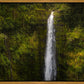 Akaka Falls, Hawaii