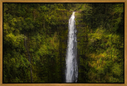 Akaka Falls, Hawaii