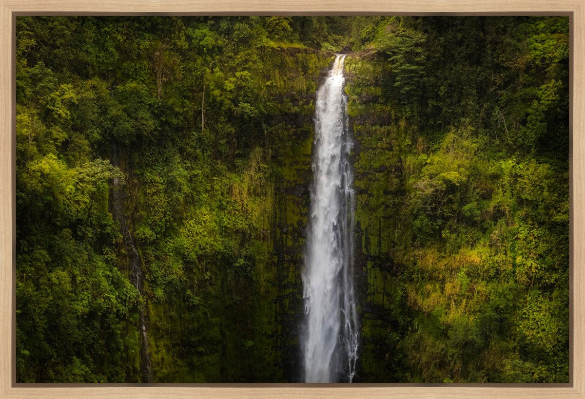 Akaka Falls, Hawaii Gallery Wrap