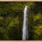 Akaka Falls, Hawaii
