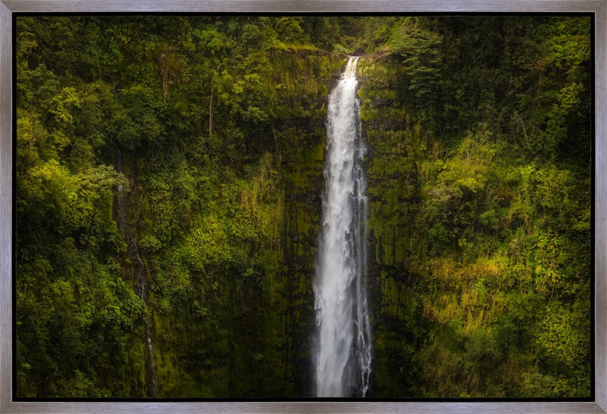 Akaka Falls, Hawaii Gallery Wrap