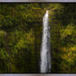 Akaka Falls, Hawaii
