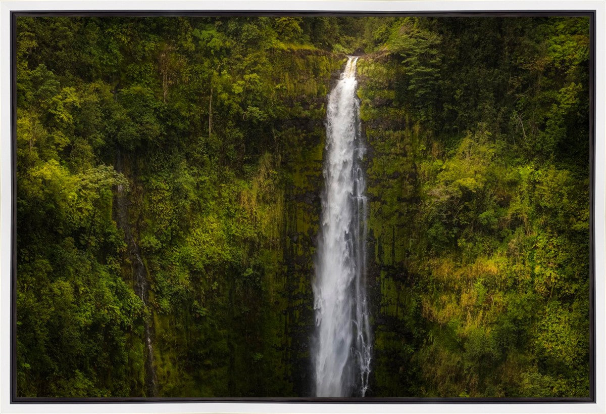 Akaka Falls, Hawaii Gallery Wrap