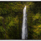 Akaka Falls, Hawaii