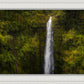 Akaka Falls, Hawaii