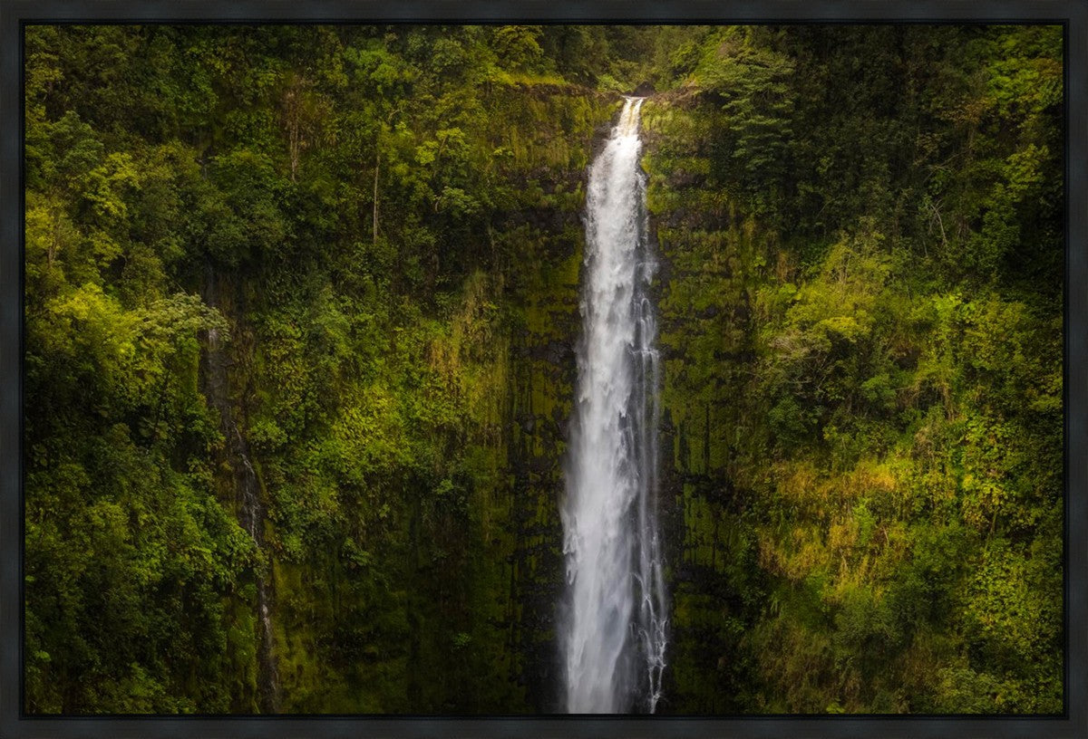 Akaka Falls, Hawaii Gallery Wrap