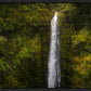 Akaka Falls, Hawaii