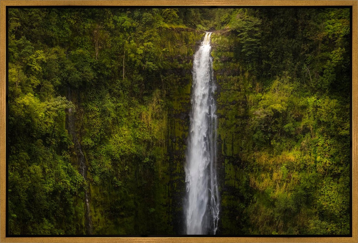 Akaka Falls, Hawaii Gallery Wrap