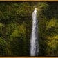 Akaka Falls, Hawaii