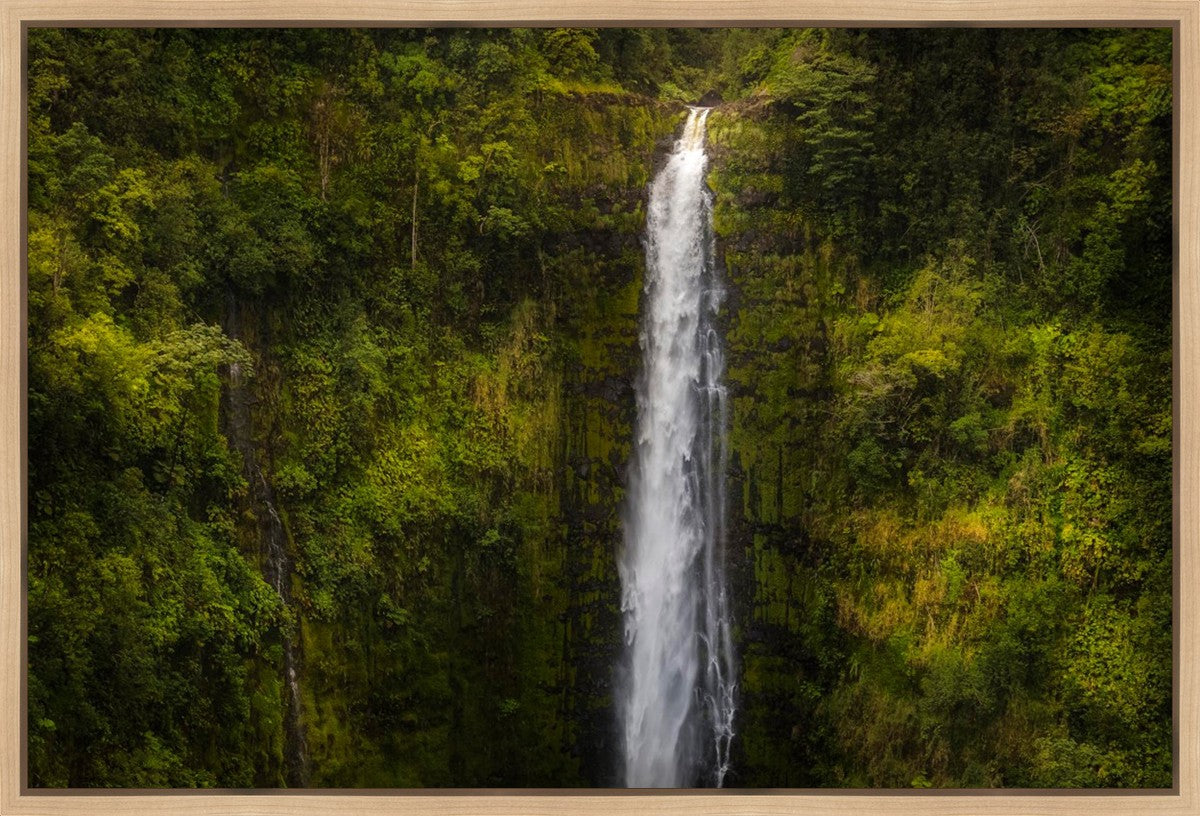 Akaka Falls, Hawaii Gallery Wrap