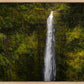 Akaka Falls, Hawaii