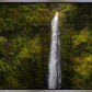 Akaka Falls, Hawaii