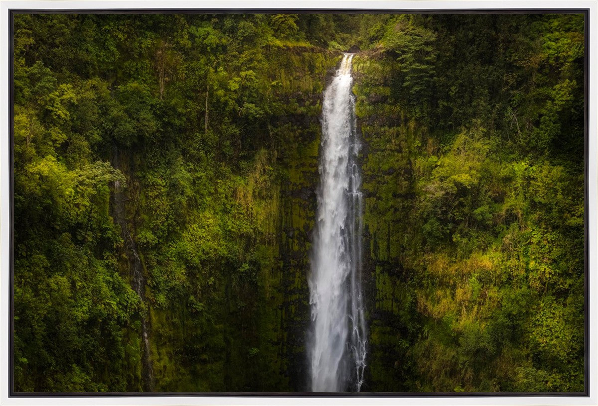 Akaka Falls, Hawaii Gallery Wrap