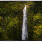 Akaka Falls, Hawaii
