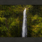 Akaka Falls, Hawaii