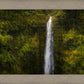 Akaka Falls, Hawaii