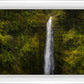 Akaka Falls, Hawaii