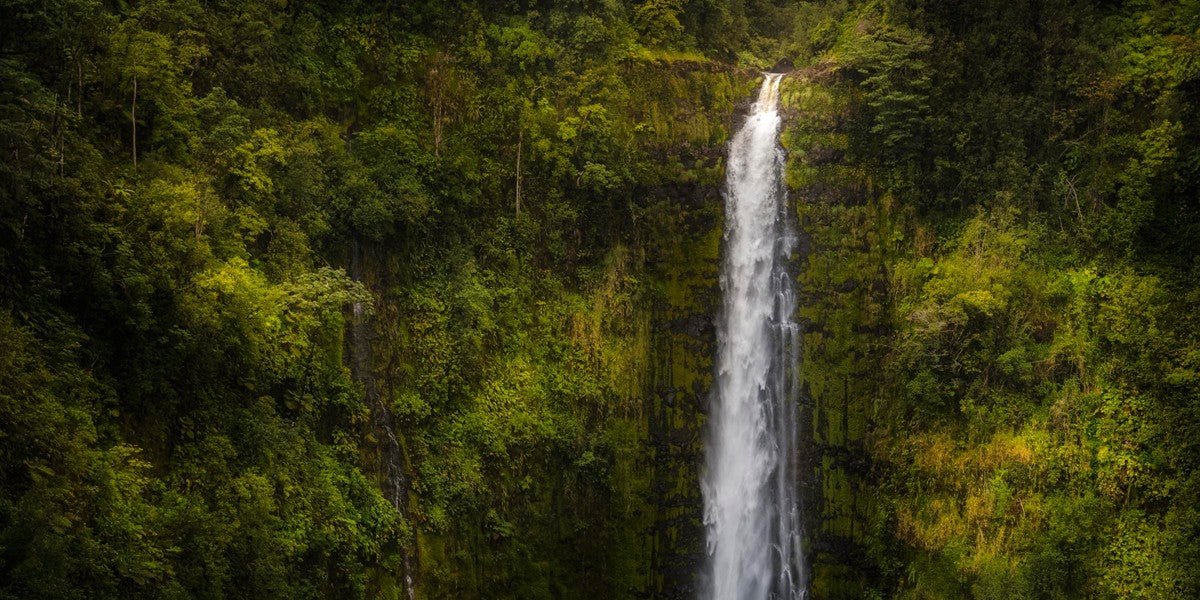 Akaka Falls, Hawaii Gallery Wrap