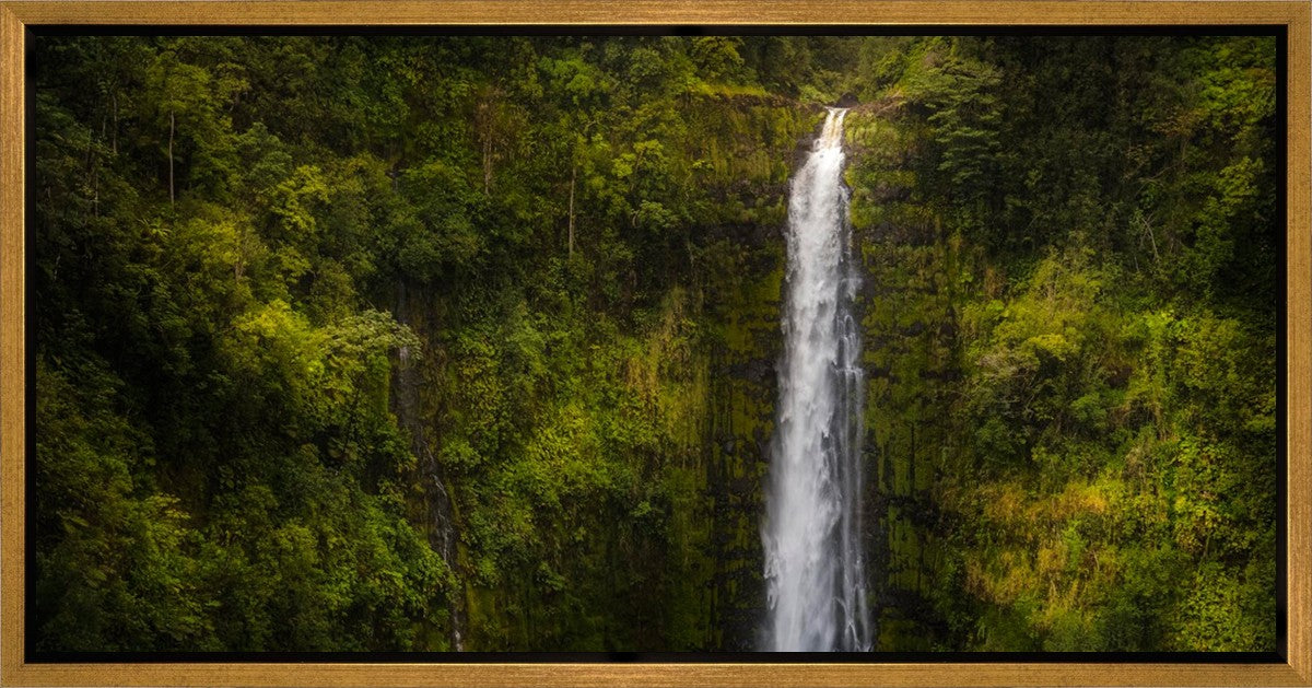 Akaka Falls, Hawaii Gallery Wrap
