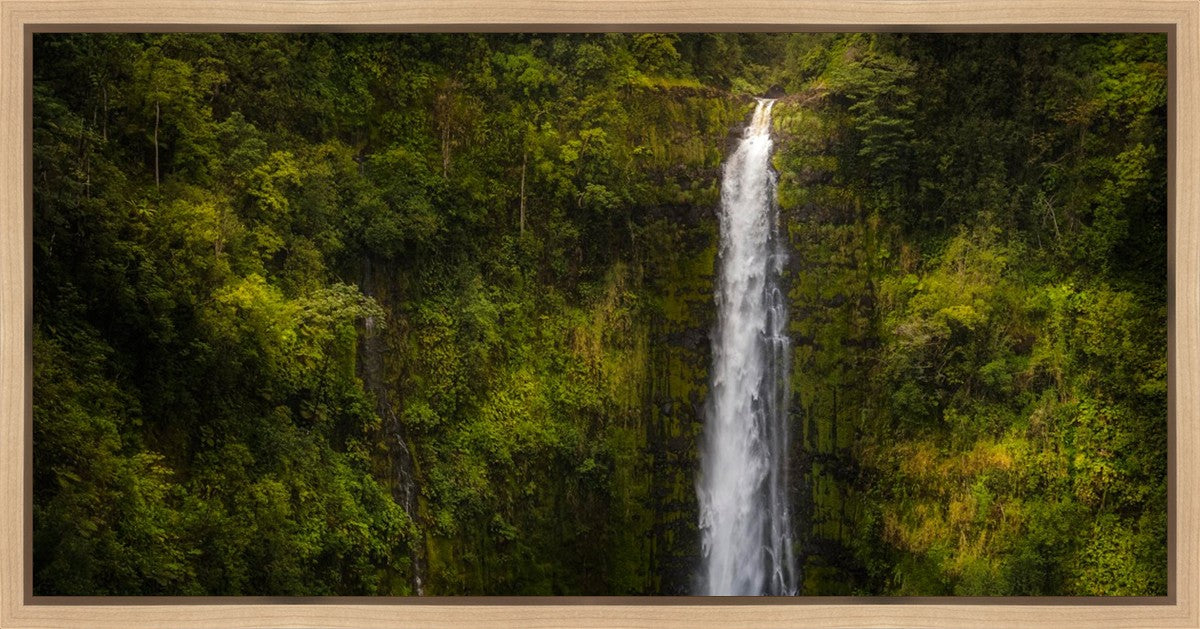 Akaka Falls, Hawaii Gallery Wrap