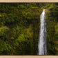 Akaka Falls, Hawaii
