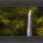 Akaka Falls, Hawaii