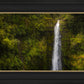 Akaka Falls, Hawaii
