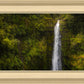 Akaka Falls, Hawaii