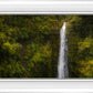 Akaka Falls, Hawaii