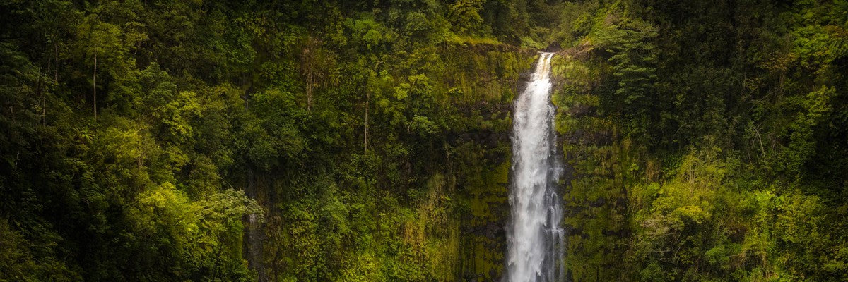 Akaka Falls, Hawaii Gallery Wrap