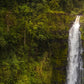Akaka Falls, Hawaii