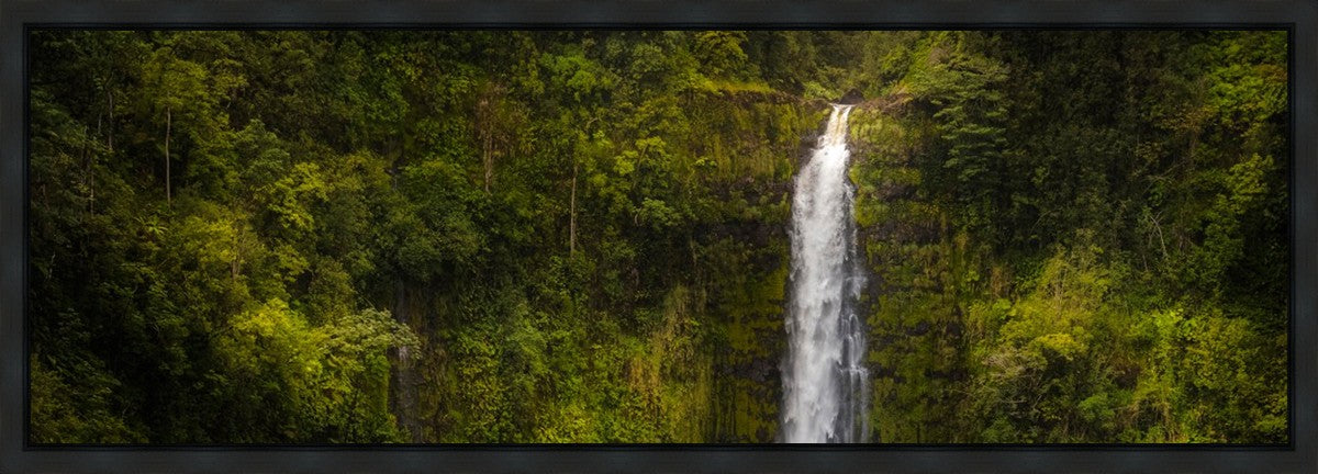 Akaka Falls, Hawaii Gallery Wrap