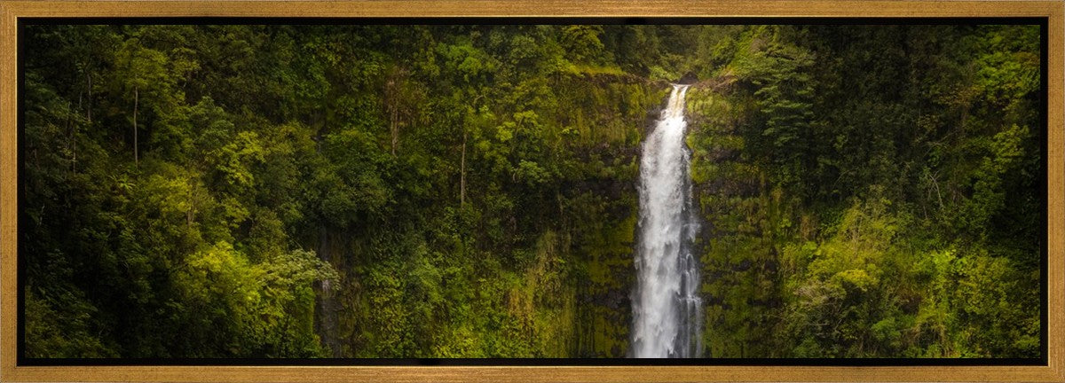 Akaka Falls, Hawaii Gallery Wrap