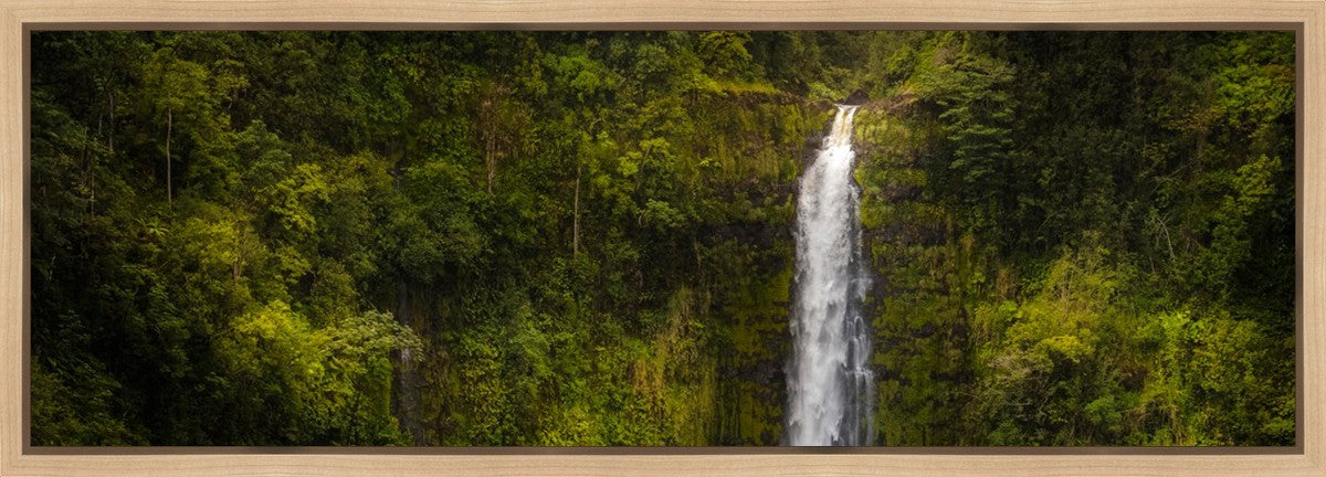 Akaka Falls, Hawaii Gallery Wrap