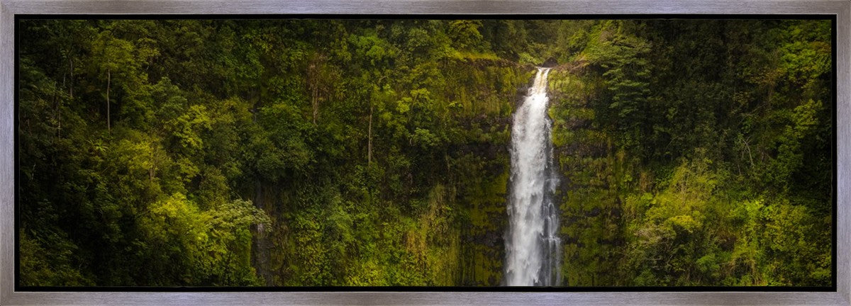 Akaka Falls, Hawaii Gallery Wrap