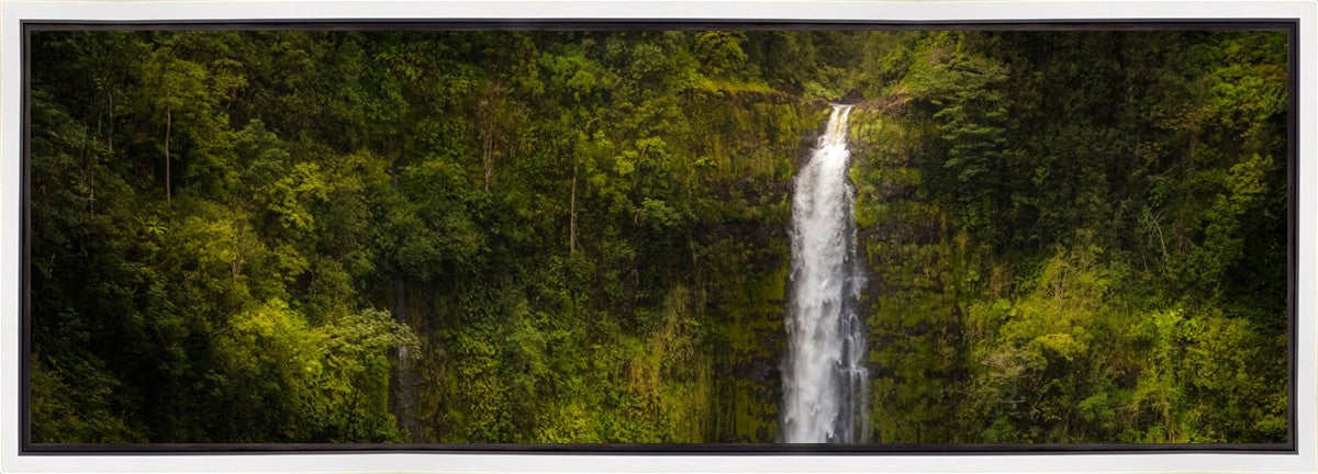 Akaka Falls, Hawaii Gallery Wrap