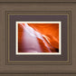 Antelope Canyon Light Shafts